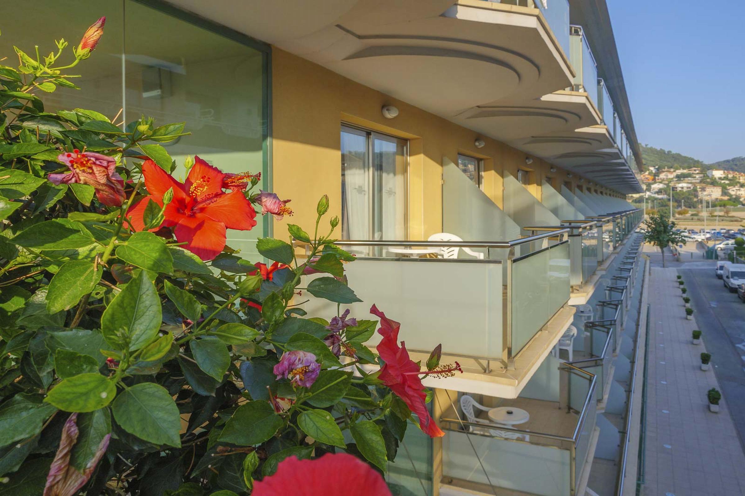 Dwo Sirius - Adults Only 4*